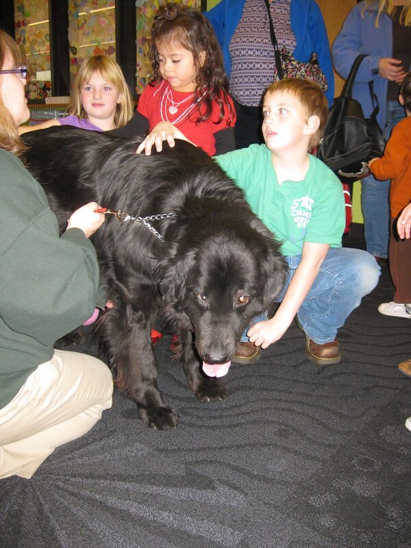 How to Choose Best Dog Breeds for Children with Autism & Families